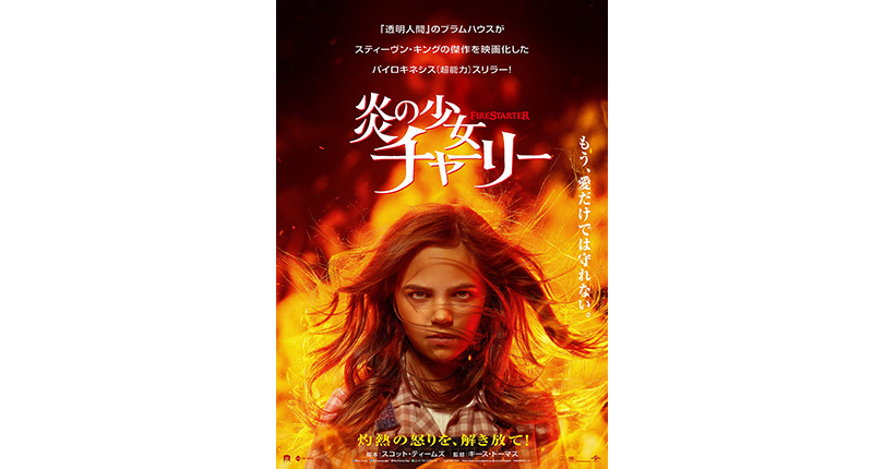 映画『炎の少女チャーリー』｜実績一覧｜株式会社ガイエ