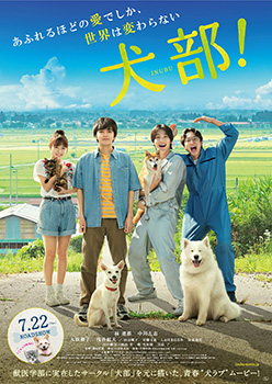 映画『犬部！』